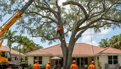 Arborists perform safe residential tree removal with crane and chainsaws in Boca Raton, FL