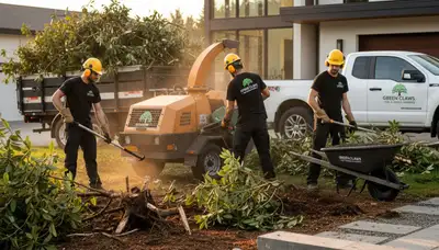 Professional shrub removal service in Boca Raton FL improving landscape health and curb appeal